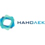 Нанолек
